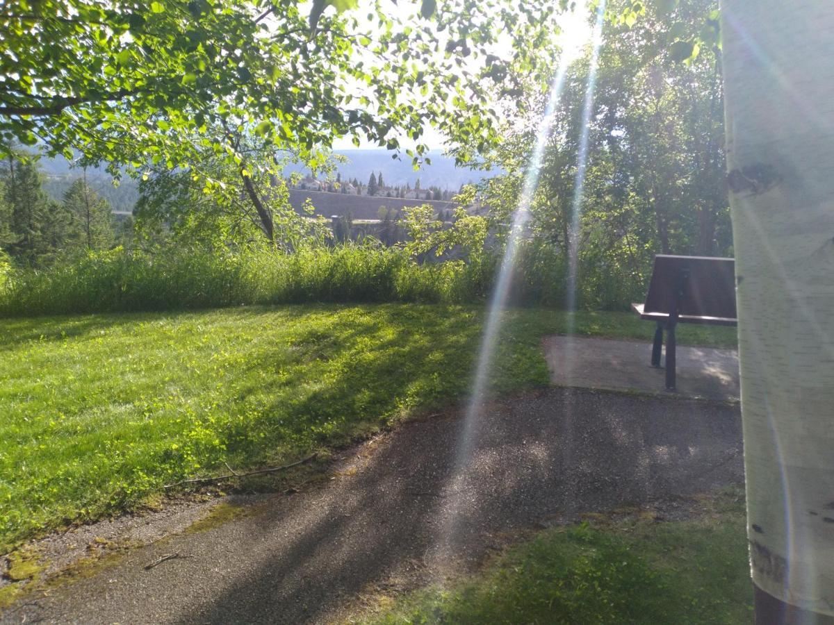 Appletree Inn Radium Hot Springs Zewnętrze zdjęcie