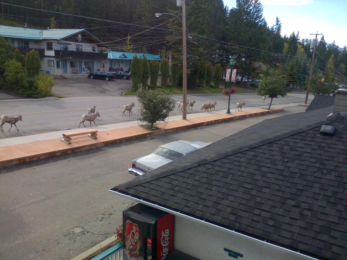 Appletree Inn Radium Hot Springs Zewnętrze zdjęcie